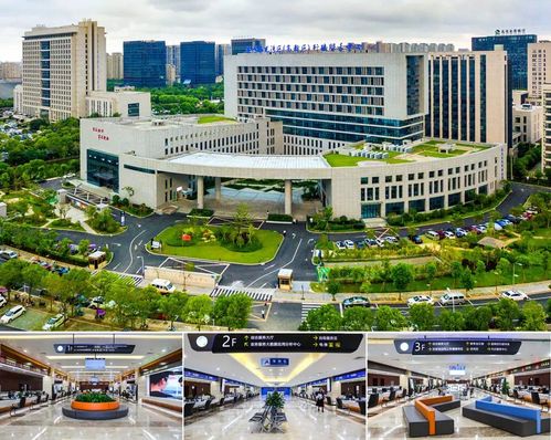 從“甌江潮涌”到“數字浪潮” 溫州技術開發70年回眸與展望